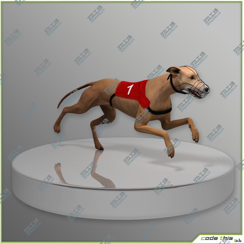 images/goods_img/202105071/Greyhound Dog CG/3.jpg